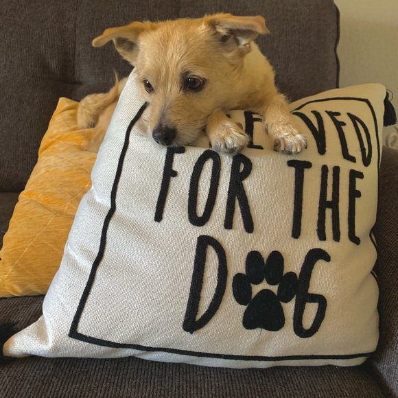 Meet your Posher, Brianna - Picture 7 of 8